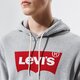 pánska mikina LEVI'S MIKINA S KAPUCŇOU T2 STD GRAPHIC HOODIE 384240000 farba sivá