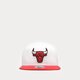 pánska šiltovka NEW ERA ČIAPKA WHT CROWN TEAM 950 BULLS CHICAGO BULLS 60358008 farba biela