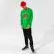 pánska mikina NIKE MIKINA M NSW TREND FT CREW dd6165-362 farba zelená