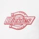 dámske tričko DICKIES TRIČKO PLAINVILLE RINGER TEE W dk0a88jrwhx1 farba biela