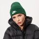 detská čiapka NIKE ČIAPKA ZIMNÁ U NSW BEANIE UTILITY FUTURA dj6224-341 farba zelená