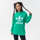 dámska mikina ADIDAS MIKINA S KAPUCŇOU TRF HOODIE he6954 farba zelená
