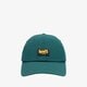 detská šiltovka LEVI'S ČIAPKA GRAPHIC FLEX FIT CAP d7259-0002 farba zelená