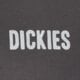 pánske tričko DICKIES TRIČKO WOLFHURST SS TEE dk0a88qoch01 farba sivá