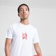 pánske tričko JORDAN TRIČKO M J BRAND GFX SS CREW fd7025-100 farba biela