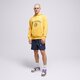 pánska mikina NEW BALANCE MIKINA S KAPUCŇOU NB SPORT mt31901vgl farba žltá
