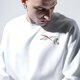 pánska mikina REEBOK MIKINA TJ CREW 2 gk9161 farba biela