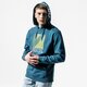 pánska mikina VANS MIKINA S KAPUCŇOU MN RETRO SPORT PO STARGAZER vn0a49sq12s1 farba zelená