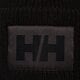 detská čiapka HELLY HANSEN ČIAPKA HH BOX BEANIE 53648990 farba čierna