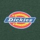 pánske tričko DICKIES TRIČKO SS MAPLETON TEE dk0a4xdbpin1 farba zelená