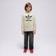 detská mikina ADIDAS MIKINA S KAPUCŇOU TREFOIL HOODIE BOY ij7204 farba béžová