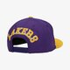 pánska šiltovka NEW ERA ČIAPKA TEAM ARCH 950 LAKERS LOS ANGELES LAKERS OTC 60240555 farba fialová