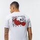 pánske tričko VANS TRIČKO MN ROSE BED SS WHITE vn0a54cvwht1 farba biela