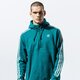 pánska mikina ADIDAS MIKINA 3-STRIPES HZ ek0254 farba zelená
