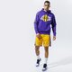 pánska mikina NIKE MIKINA S KAPUCŇOU LOS ANGELES LAKERS ESSENTIAL NBA cn1197-504 farba fialová