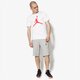pánske šortky JORDAN ŠORTKY  JSW WINGS LITE SHORT 914434-063 farba sivá
