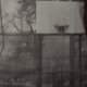 pánske tričko NIKE TRIČKOAF1 BROOKLYN COURT 689190037 farba sivá