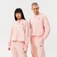 dámska mikina NEW BALANCE MIKINA S KAPUCŇOU NB ESSENTIALS UNI-SSENTIALS CR ut21502pie farba ružová