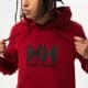 pánska mikina HELLY HANSEN MIKINA S KAPUCŇOU HH LOGO HOODIE 33977215 farba bordová