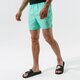 pánske šortky NIKESWIM ŠORTKY  NIKE ESSENTIAL nessa560315 farba zelená