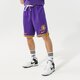 pánske šortky NIKE ŠORTKY  LAL M NK DF DNA SHORT TEAM NBA dh9175-504 farba fialová