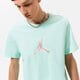 pánske tričko JORDAN TRIČKO M J SPRT DNA 23 SS CREW do8898-379 farba zelená