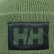 detská čiapka HELLY HANSEN ČIAPKA HH BOX BEANIE 53648406 farba zelená