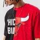 pánske tričko NEW ERA TRIČKO WASHED PACK GRAPHIC BULLS CHICAGO BULLS BLKFD 13083857 farba červená
