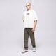 pánske tričko DICKIES TRIČKO WILLISTON TEE SS dk0a87ylc481 farba béžová