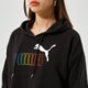 dámska mikina PUMA MIKINA S KAPUCŇOU ESS+ RAINBOW HOODIE TR 848429 01 farba čierna