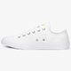 dámske tenisky (obuv) CONVERSE CHUCK TAYLOR ALL STAR  170823c farba viacfarebná