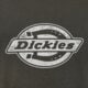 pánske tričko DICKIES TRIČKO PLAINVILLE SS TEE dk0a88gnblk1 farba sivá
