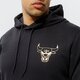 pánska mikina NEW ERA MIKINA S KAPUCŇOU METALLIC HOODY BULLS CHICAGO BULLS 12590872 farba čierna