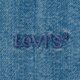 pánske košele LEVI'S KOŠEĽA AUTHENTIC BUTTON DOWN MED INDIGO - FLAT FINISH a7210-0025 farba modrá