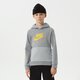 detská mikina NIKE MIKINA S KAPUCŇOU B NSW NIKE AIR PO HOODIE BOY dm8109-073 farba sivá
