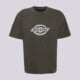 pánske tričko DICKIES TRIČKO PLAINVILLE SS TEE dk0a88gnblk1 farba sivá
