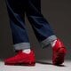 pánske tenisky (obuv) NIKE AIR VAPORMAX PLUS cw6973-600 farba červená