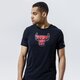 pánske tričko NIKE TRIČKO CHICAGO BULLS TEE EARNED EDITION ERND LGO NBA cz7245-010 farba čierna