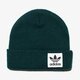 detská čiapka ADIDAS ČIAPKA ZIMNÁ HIGH BEAN IE br2760 farba zelená