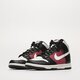 dámske tenisky (obuv) NIKE DUNK HIGH  dd1869-005 farba viacfarebná