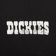 pánske tričko DICKIES TRIČKO PLAIN CITY SS TEE dk0a88jiblk1 farba čierna