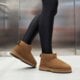dámske zimné topánky (obuv) EMU AUSTRALIA SHARKY MICRO w12548chestnut farba hnedá