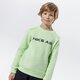 detská mikina NIKE MIKINA AIR BOY da0703-383 farba zelená