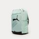 dámsky ruksak PUMA RUKSAK PUMA PHASE BACKPACK II 077295 30 farba zelená