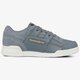pánske tenisky (obuv) REEBOK WORKOUT PLUS ALR bs5245 farba modrá