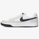 pánske tenisky (obuv) NIKE SB ADVERSARY cj0887-100 farba biela