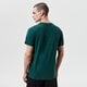 pánske tričko NIKE TRIČKO BOS M NK DRY TEE ES ERND LGO NBA cz7238-330 farba zelená