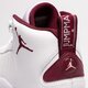 pánske tenisky (obuv) JORDAN JUMPMAN PRO  dn3686-103 farba biela