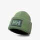 detská čiapka HELLY HANSEN ČIAPKA HH BOX BEANIE 53648406 farba zelená