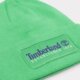 detská čiapka TIMBERLAND ČIAPKA ESTABLISHED 1973 tb0a2ptdh311 farba zelená